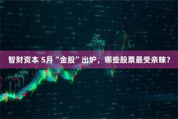 智财资本 5月“金股”出炉，哪些股票最受亲睐？