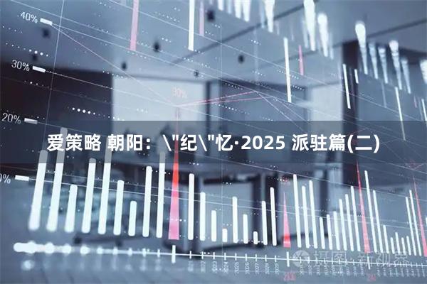 爱策略 朝阳：＂纪＂忆·2025 派驻篇(二)