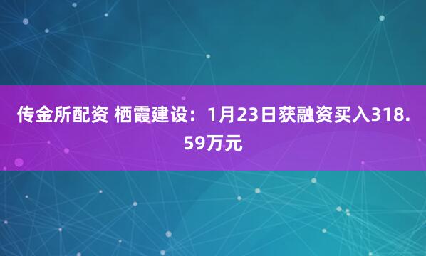 传金所配资 栖霞建设：1月23日获融资买入318.59万元