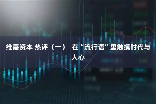 维嘉资本 热评（一）  在“流行语”里触摸时代与人心