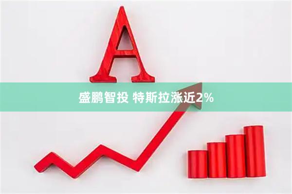 盛鹏智投 特斯拉涨近2%